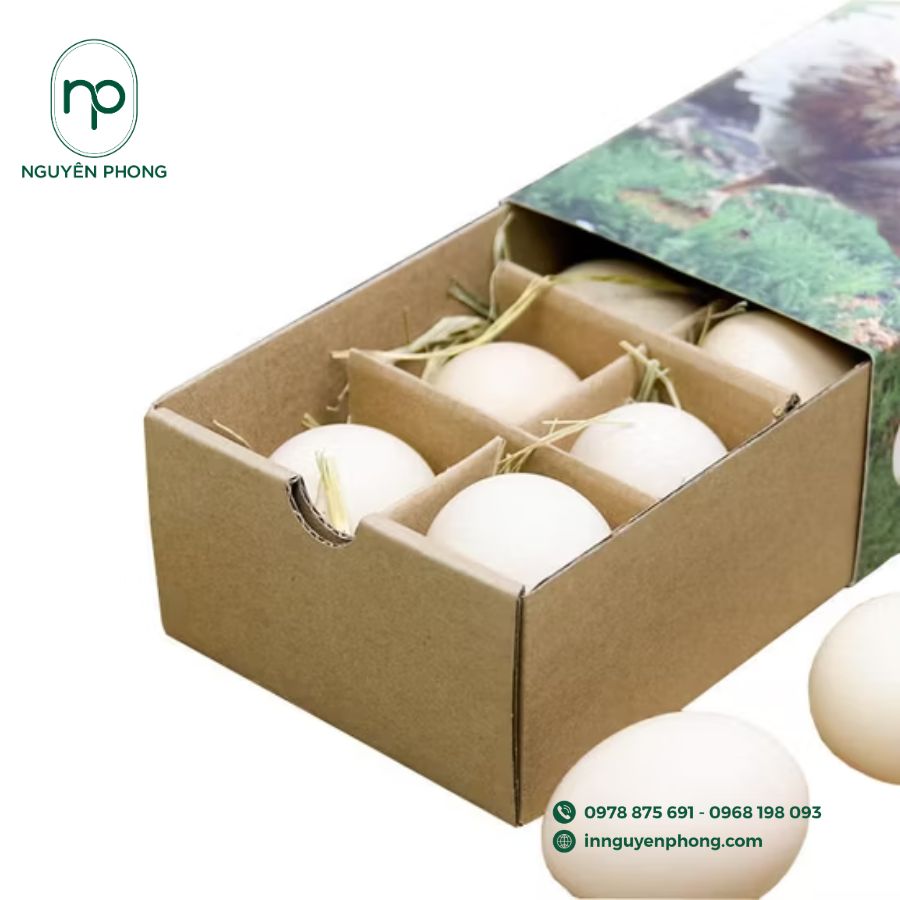 in-hop-carton-dung-trung-gia-re-tai-ha-noi